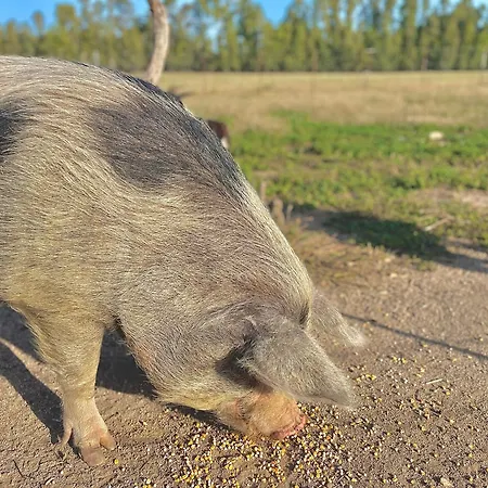 Bed & Breakfast Soleluna 3*