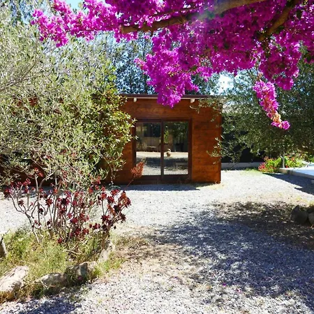 Bed & Breakfast Soleluna