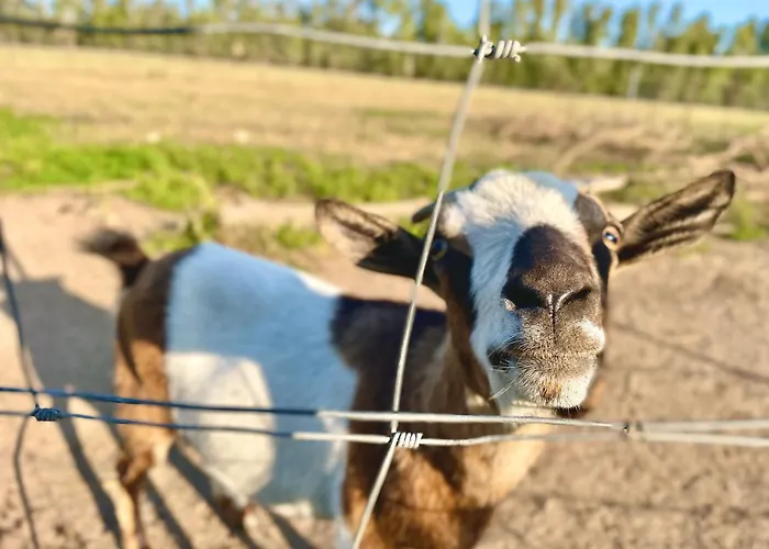 Soleluna 3* Кастиадас