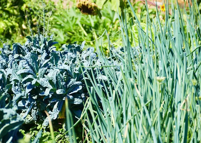 Soleluna Кастиадас