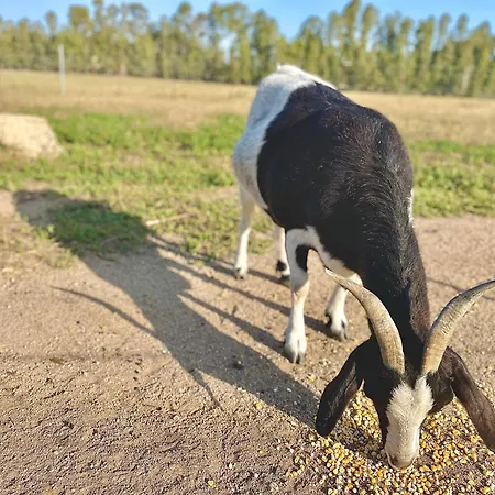 Soleluna לינה וארוחת בוקר