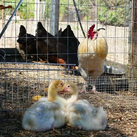 Affittacamere Soleluna Bed & Breakfast Castiadas