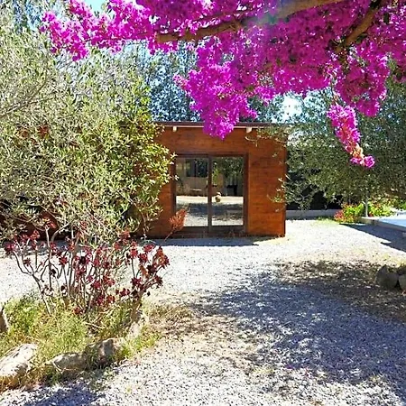 Soleluna Bed & Breakfast Castiadas