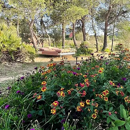 Bed & Breakfast Soleluna Castiadas